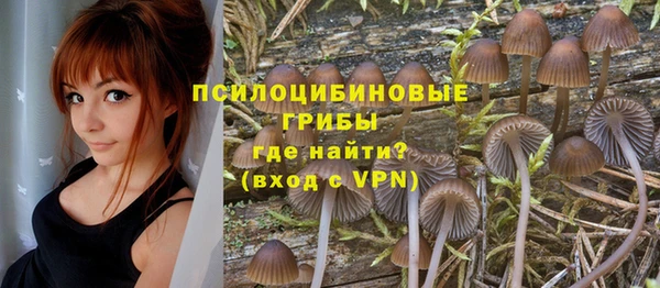 эйфоретик Горно-Алтайск