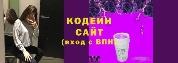 дмт Горняк