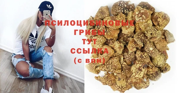 дмт Горняк