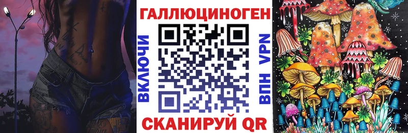 закладка  Меленки  Псилоцибиновые грибы GOLDEN TEACHER 